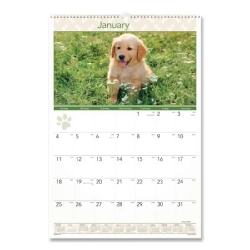 Puppies Monthly Wall Calendar, Puppies Photography, 15.5 x 22.75, White/Multicolor Sheets, 12-Month (Jan to Dec): 2026 - Wall Calendars | AT-A-GLANCE