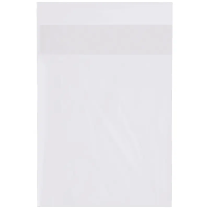 12 x 16" - 2 Mil Flap Lock Poly Bags (PBFL121602) Case Of 1000
