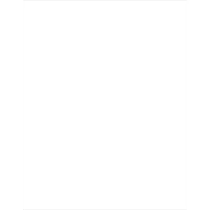 8 1/2 x 11" Weather-Resistant Laser Labels (LL256WR) Case Of 100