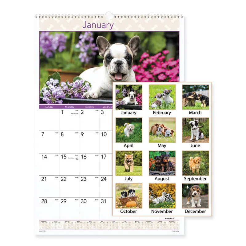 AT-A-GLANCE Puppies Monthly Wall Calendar, Puppies Photography, 15.5 x 22.75, White/Multicolor Sheets, 12-Month (Jan to Dec): 2026 (AAGDMW16728) Each