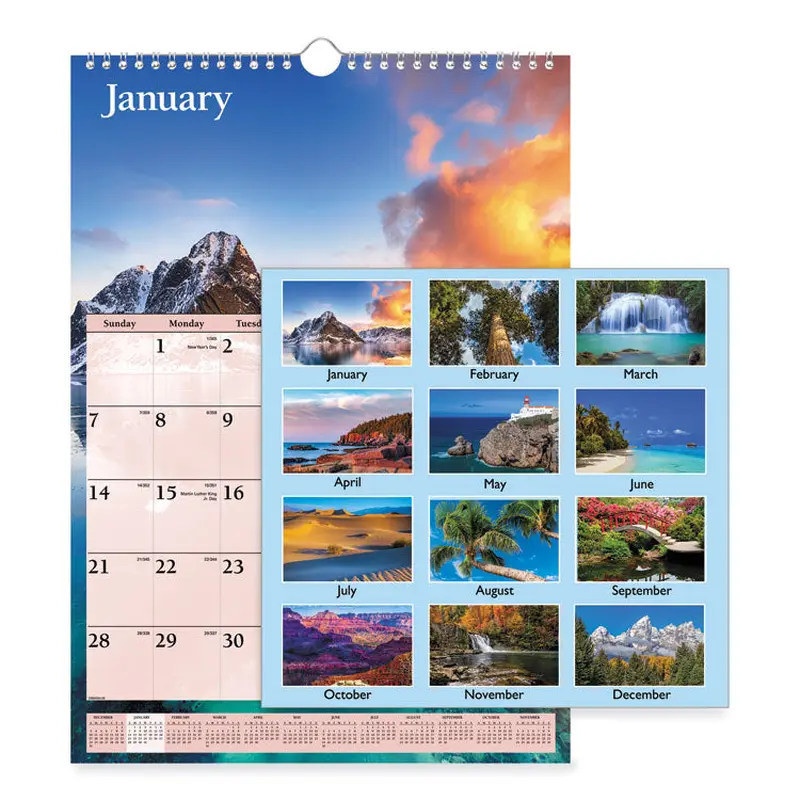 AT-A-GLANCE Scenic Monthly Wall Calendar, Landscape Photography, 12 x 17, White/Multicolor Sheets, 12-Month (Jan to Dec): 2026 (AAGDMW20028) Each