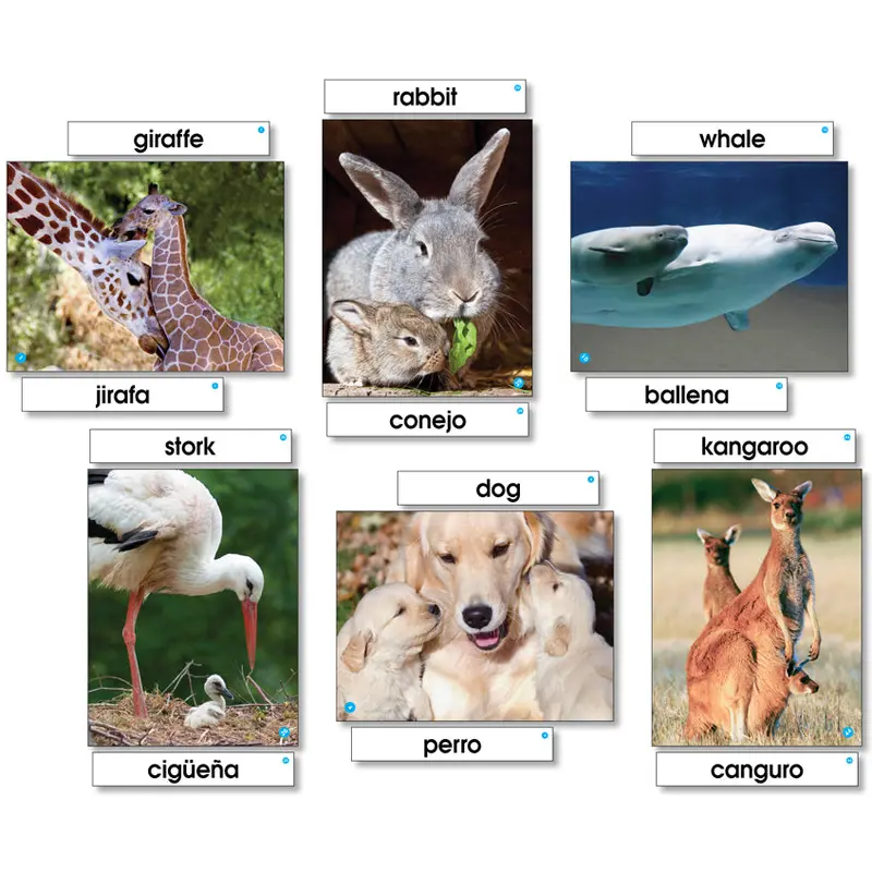 ANIMAL FAMILIES - LANGUAGE CARDS