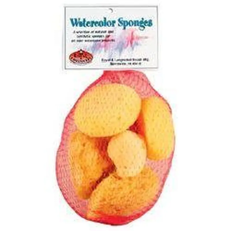 WATERCOLOR SPONGE SET