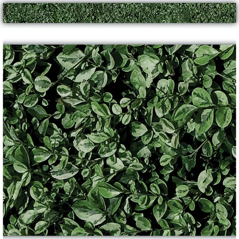 Teacher Created Resources Modern Farmhouse Boxwood Straight Border Trim (TCR8513)