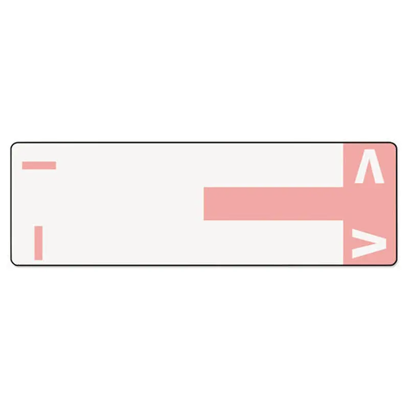 Alphaz Color-coded First Letter Combo Alpha Labels, I/v, 1.16 X 3.63, Pink/white, 5/sheet, 20 Sheets/pack