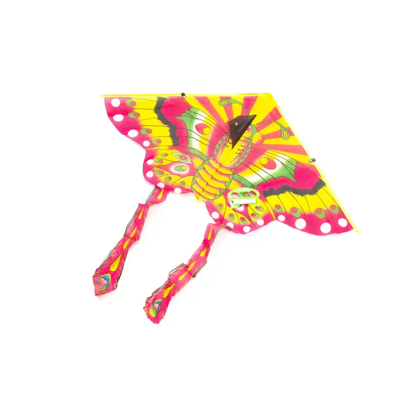 Animal Design KiteAssorted