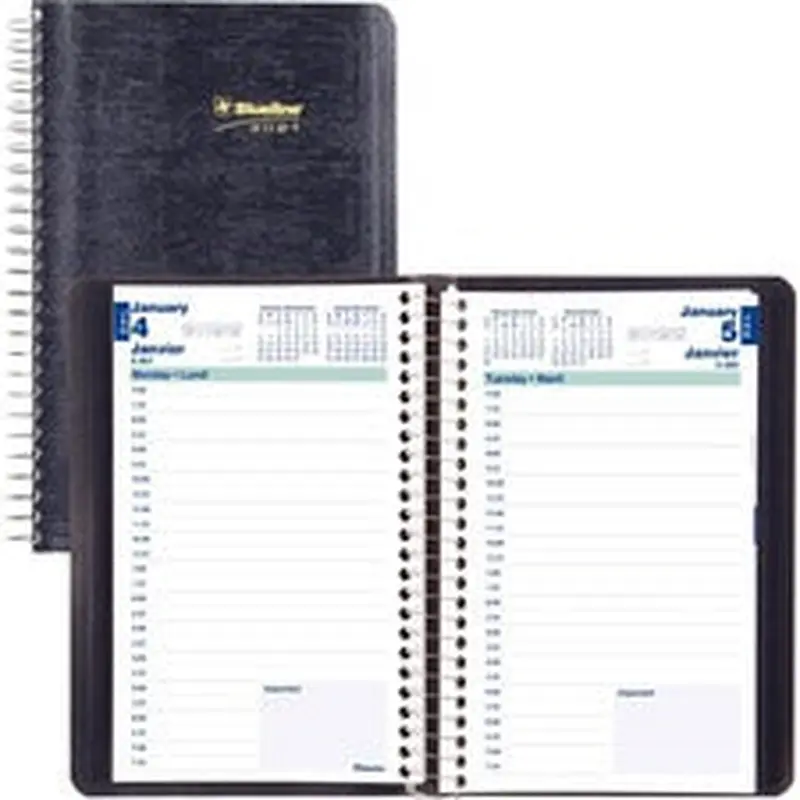 Blueline Daily Planner 2021, Blue