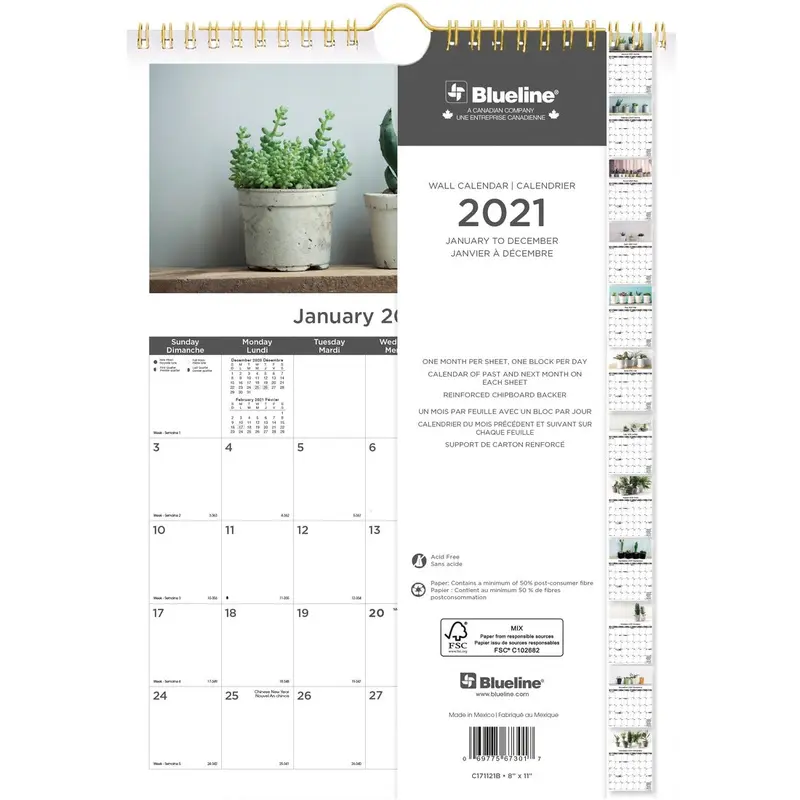 Blueline Monthly Wall Calendar 2021, Succulent Plants