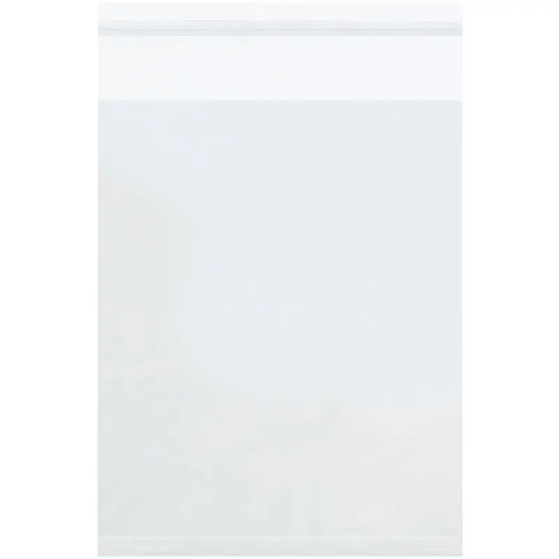 11 x 17 Clear Resealable Polypropylene Bags (1.5 mil) 1000/Case