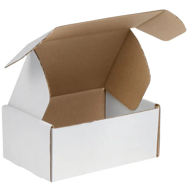 12 1/8 x 9 1/4 x 4 White Deluxe Literature Mailers  50/Bundle