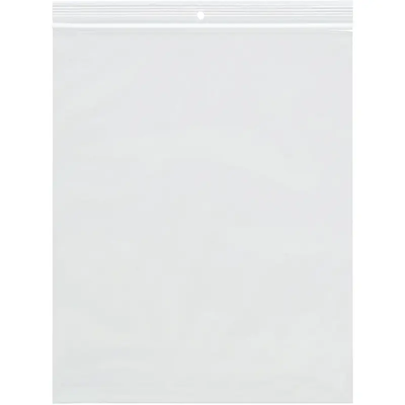 2 x 12 (2 mil) Reclosable Poly Bags With Hang Hole 1000/Case