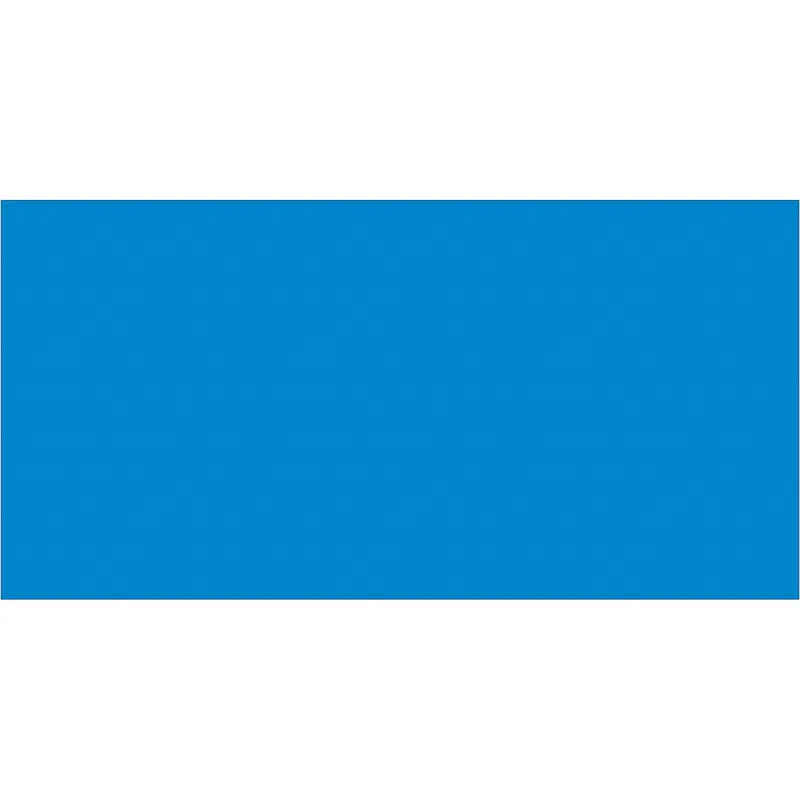 2 x 4" Light Blue Inventory Rectangle Labels 500/Roll