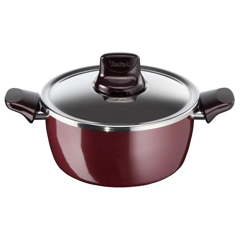 Tefal Pleasure Stewpan 24cm   Stainless Steel Lid / D5024662